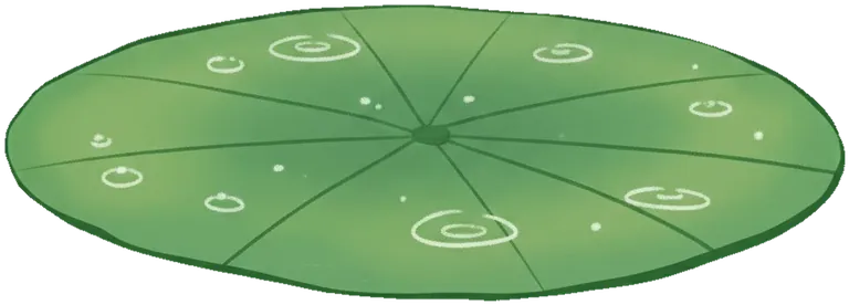 lilypad